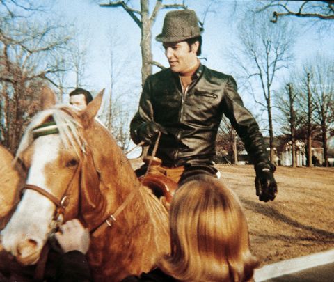 Elvis on Horse